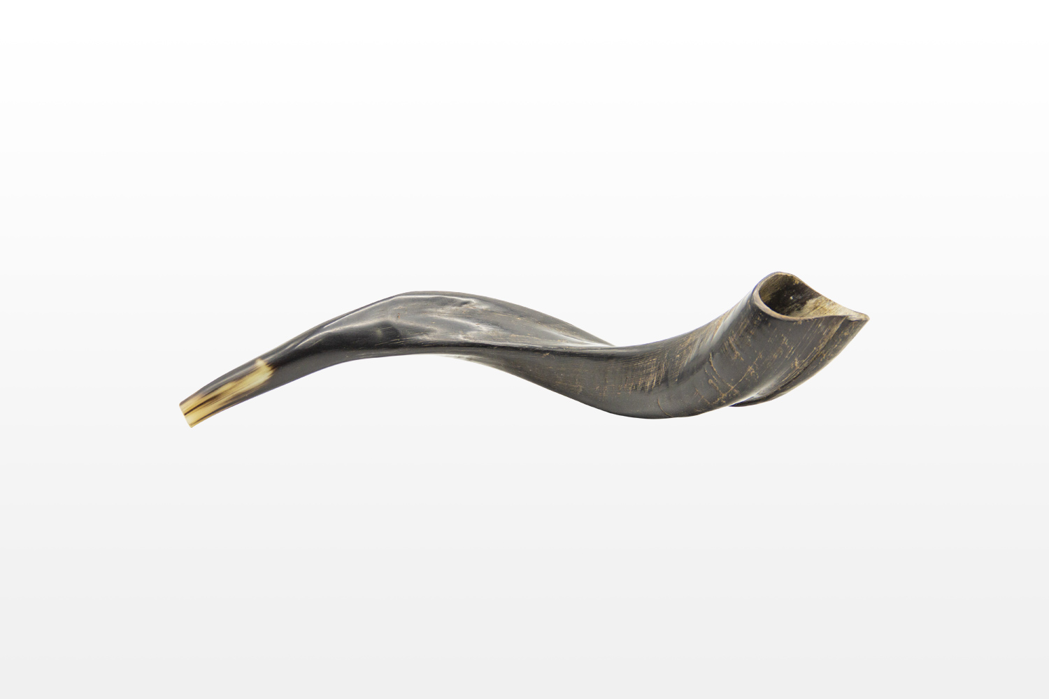 Yemenite Kudu Shofar Israel Cart
