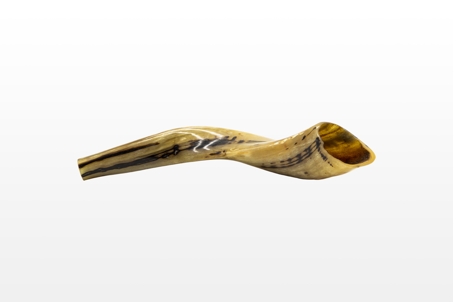 Ram's Horn Shofar - Israel Cart